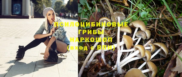 jwh Зеленокумск